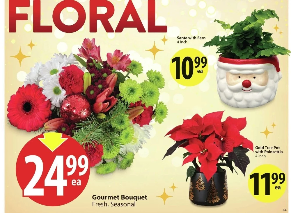 save on foods flyer december 11 17 5