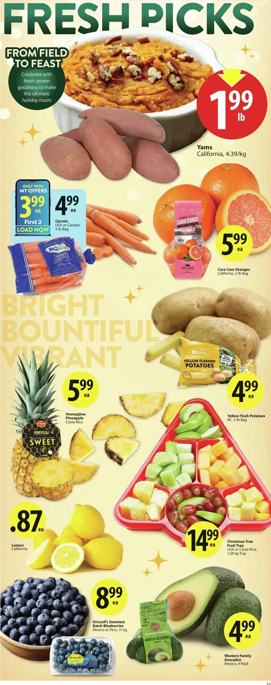 save on foods flyer december 18 24 3