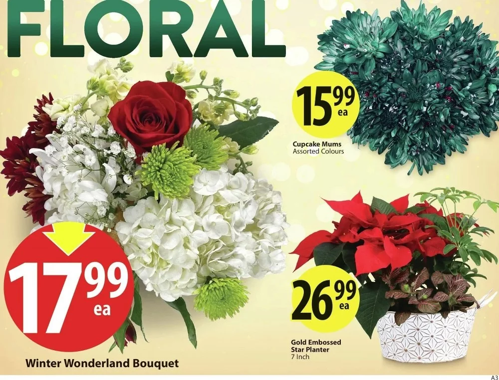 save on foods flyer december 18 24 4