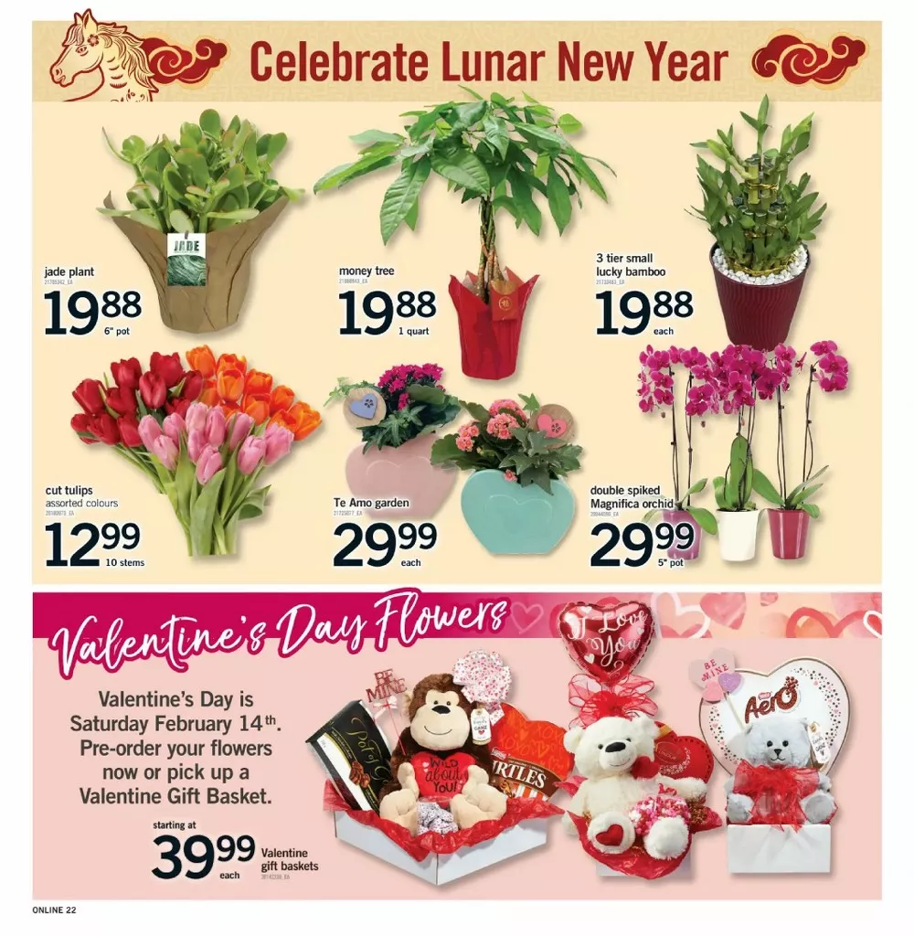 fortinos flyer january 29 february 4 22 98786561