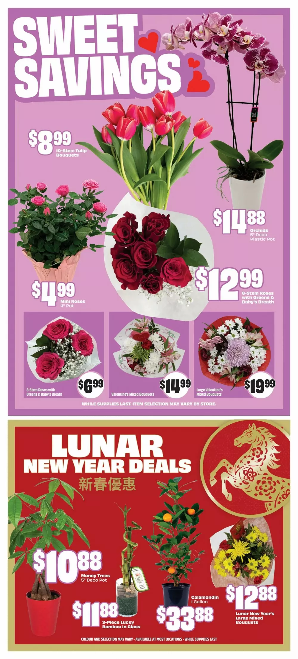 freshco flyer february 5 11 10 89780070