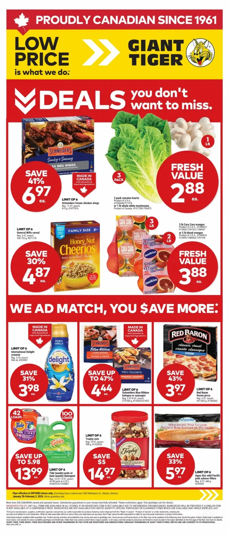 giant tiger dlyer on week-5