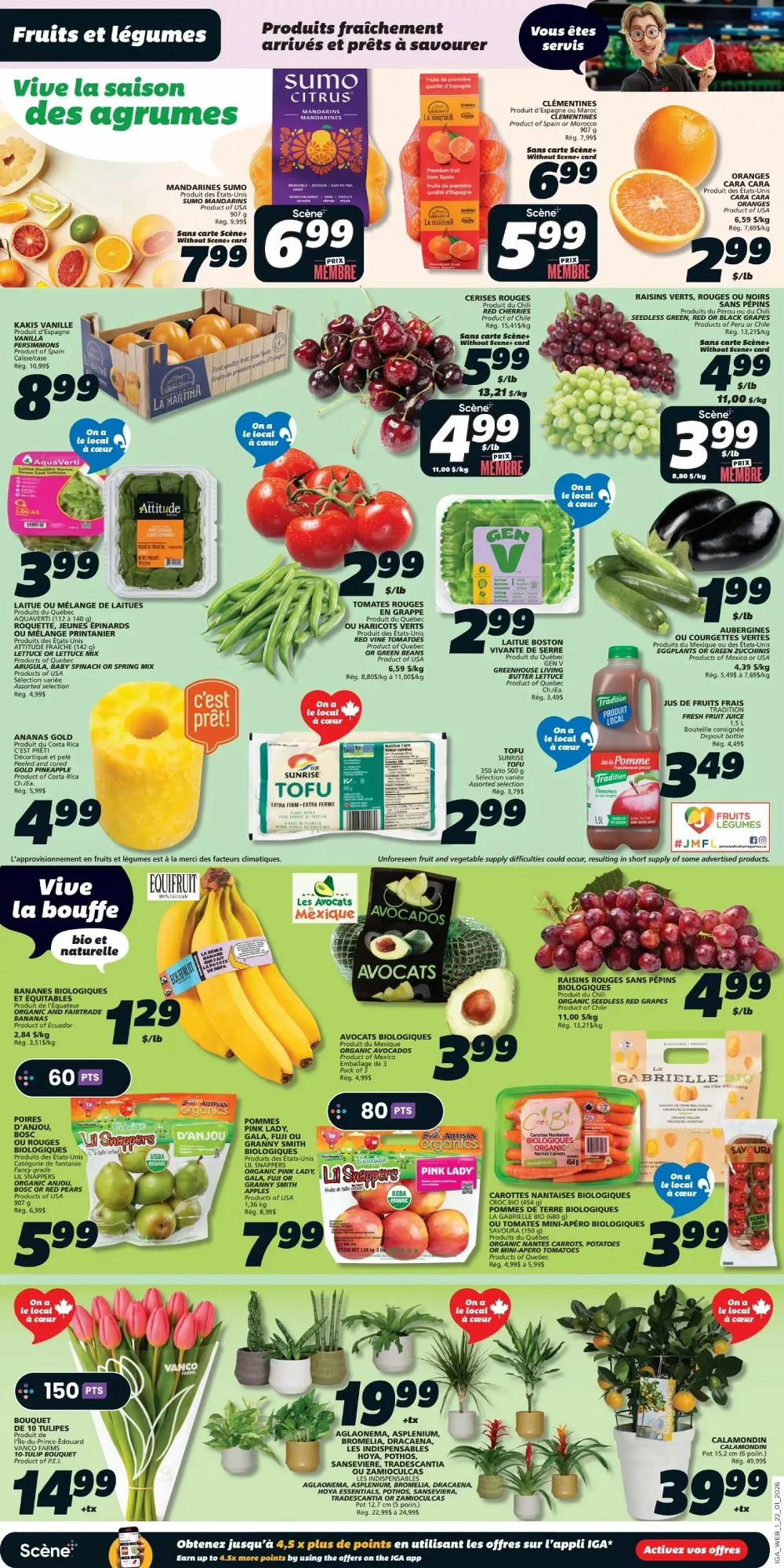 iga flyer january 22 28 3 07433196