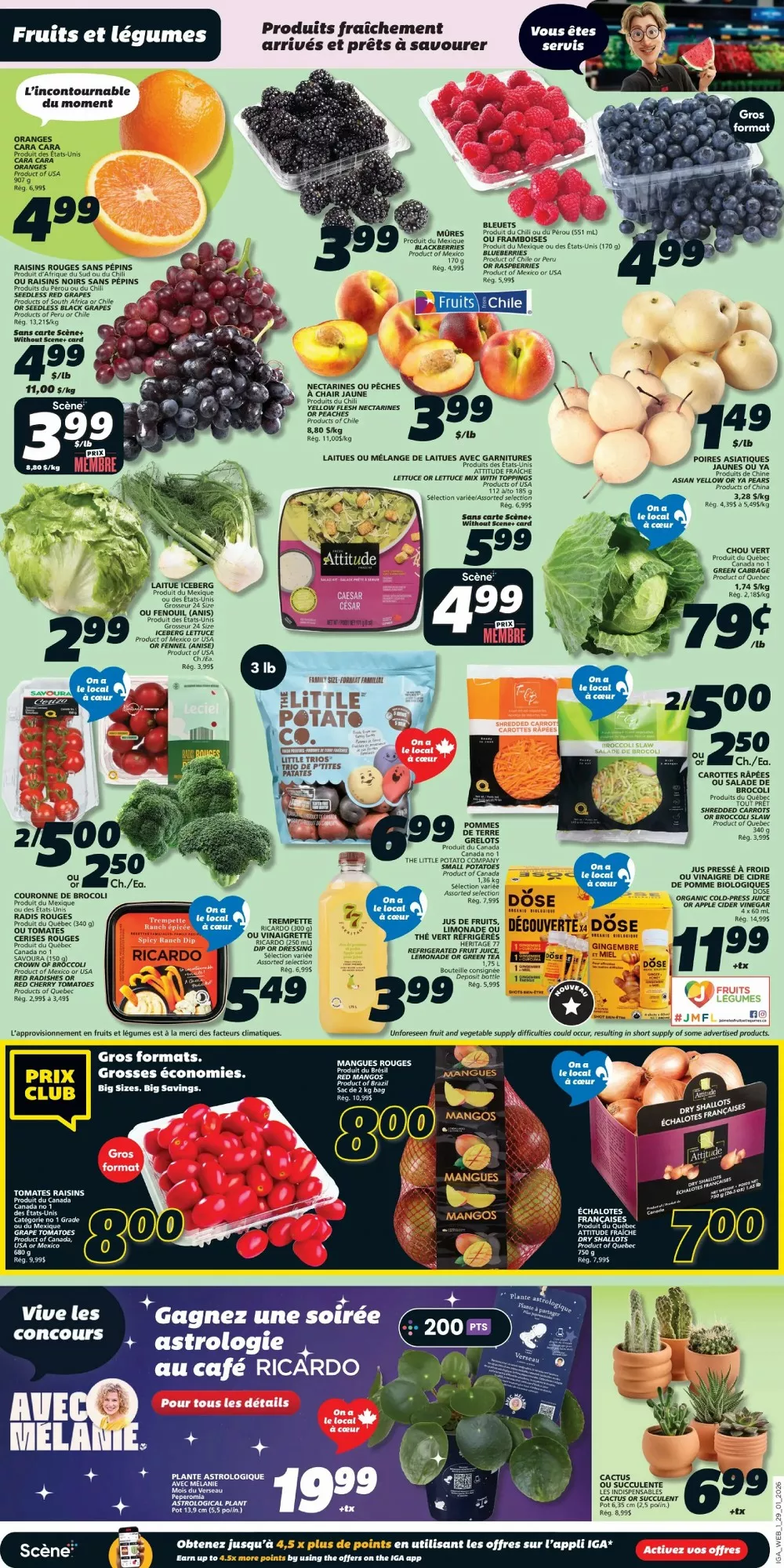 iga flyer january 29 february 4 3 52075700
