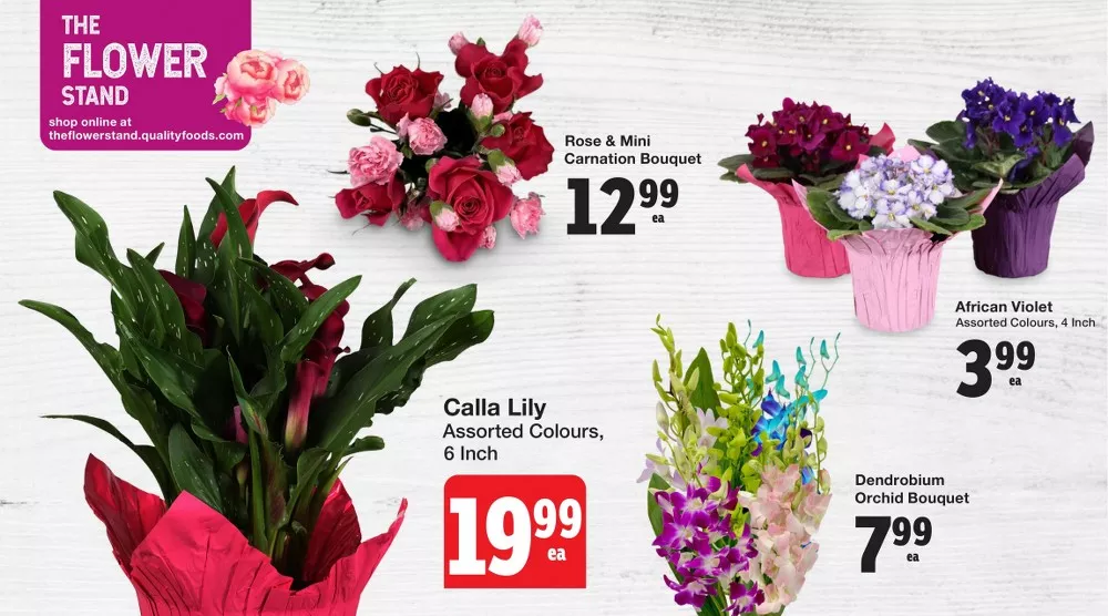 quality foods flyer jan 22 28 4