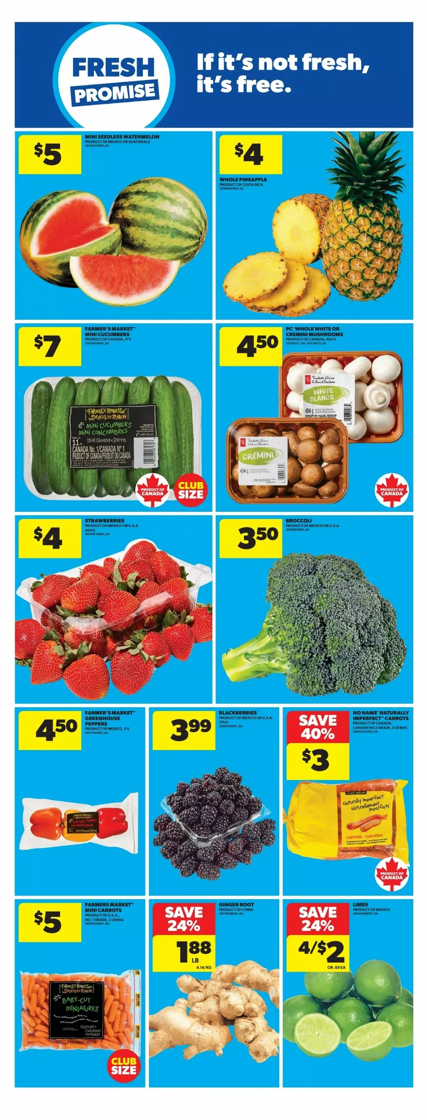 real canadian flyer on january 22 28 14 63301746