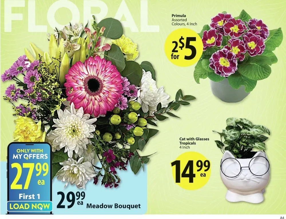 Save on Foods Flyer January 29 to February 4, 2026 3 save on foods flyer january 22 28 3