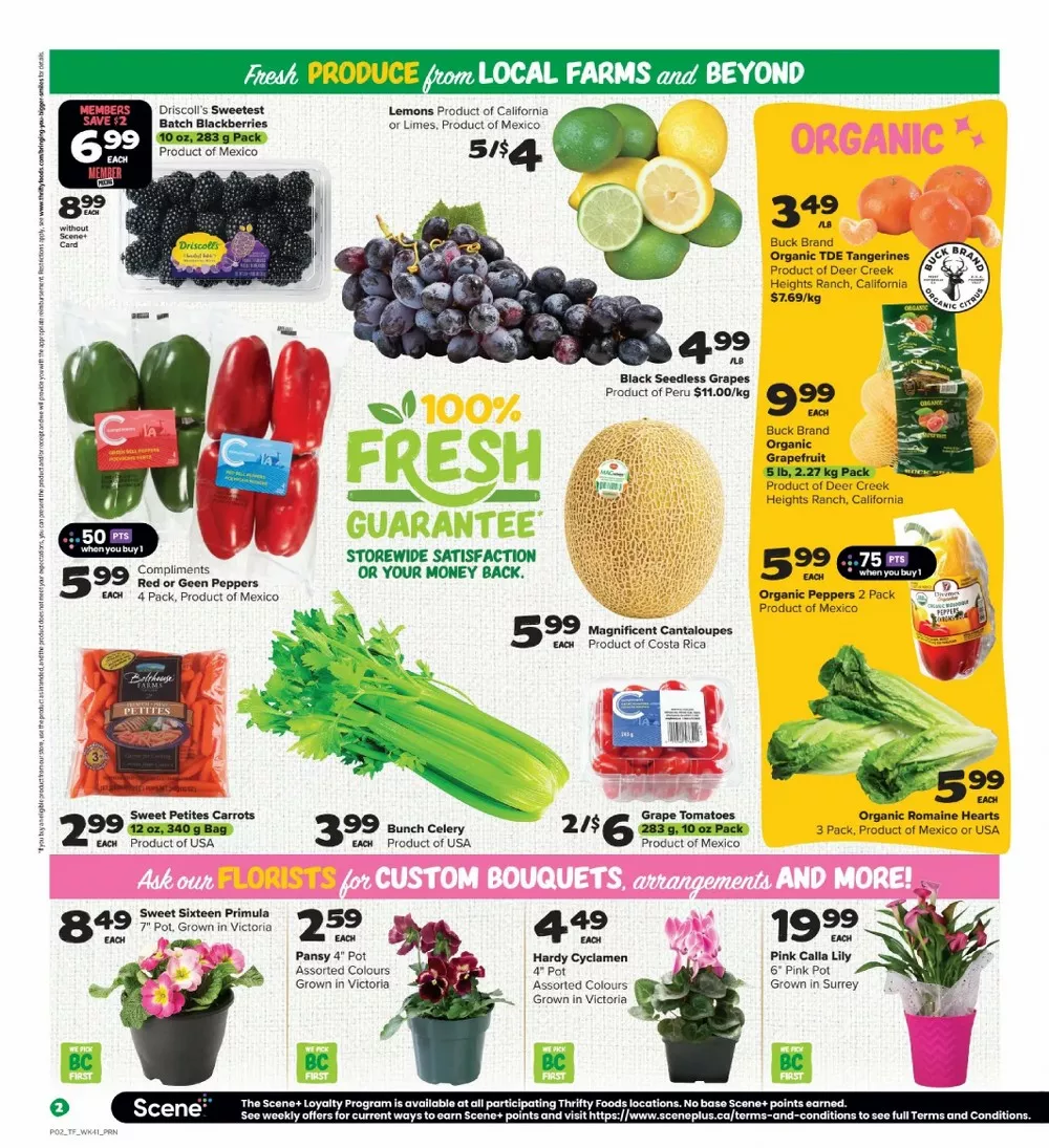 thrifty foods flyer february 5 11 3