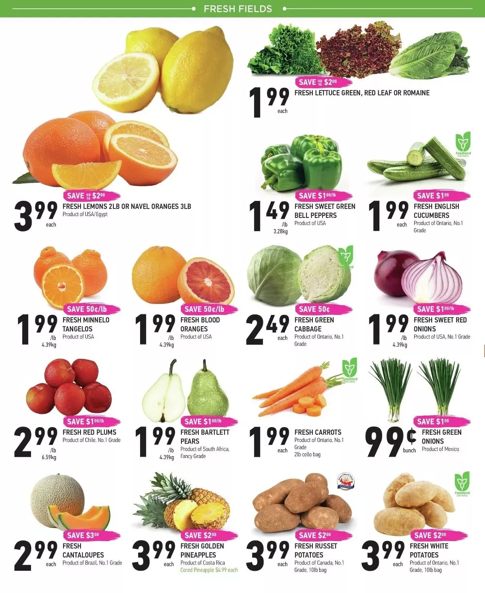 coppas flyer february 19 25 2