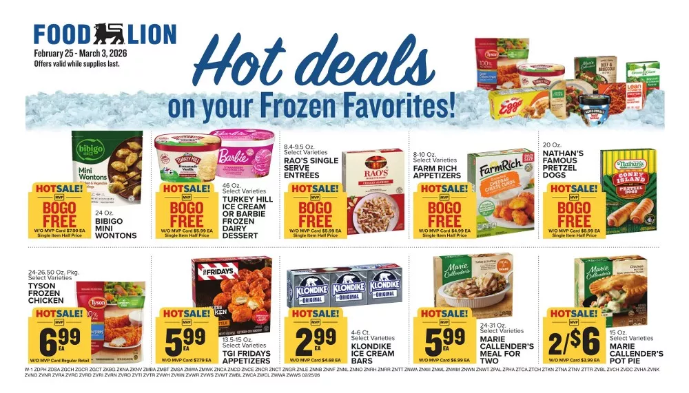 food lion weekly ad february 25 march 3 9