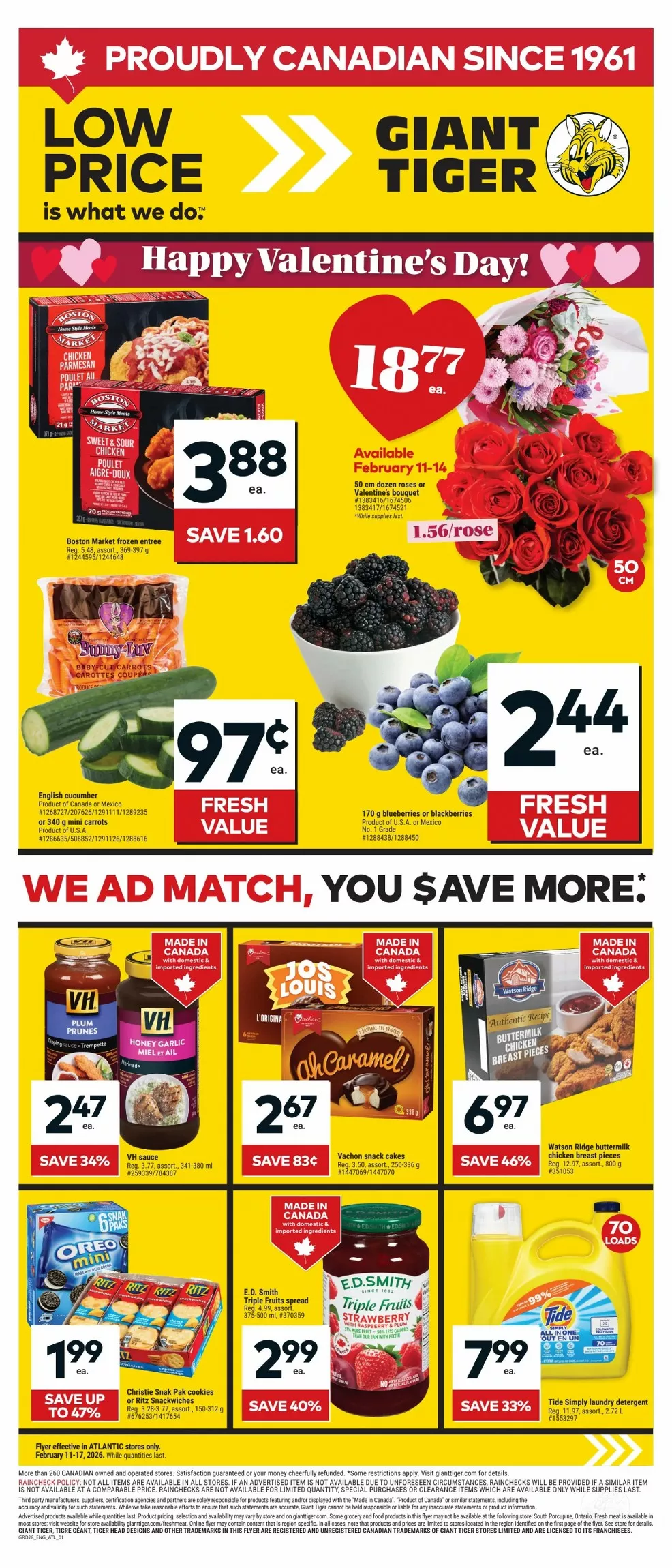 giant tiger flyer atlantic week-7