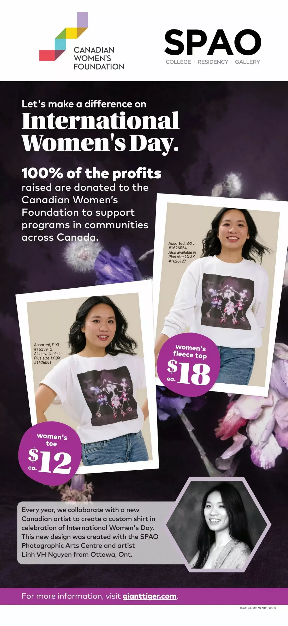 giant tiger flyer february 25 march 3 12 42205614