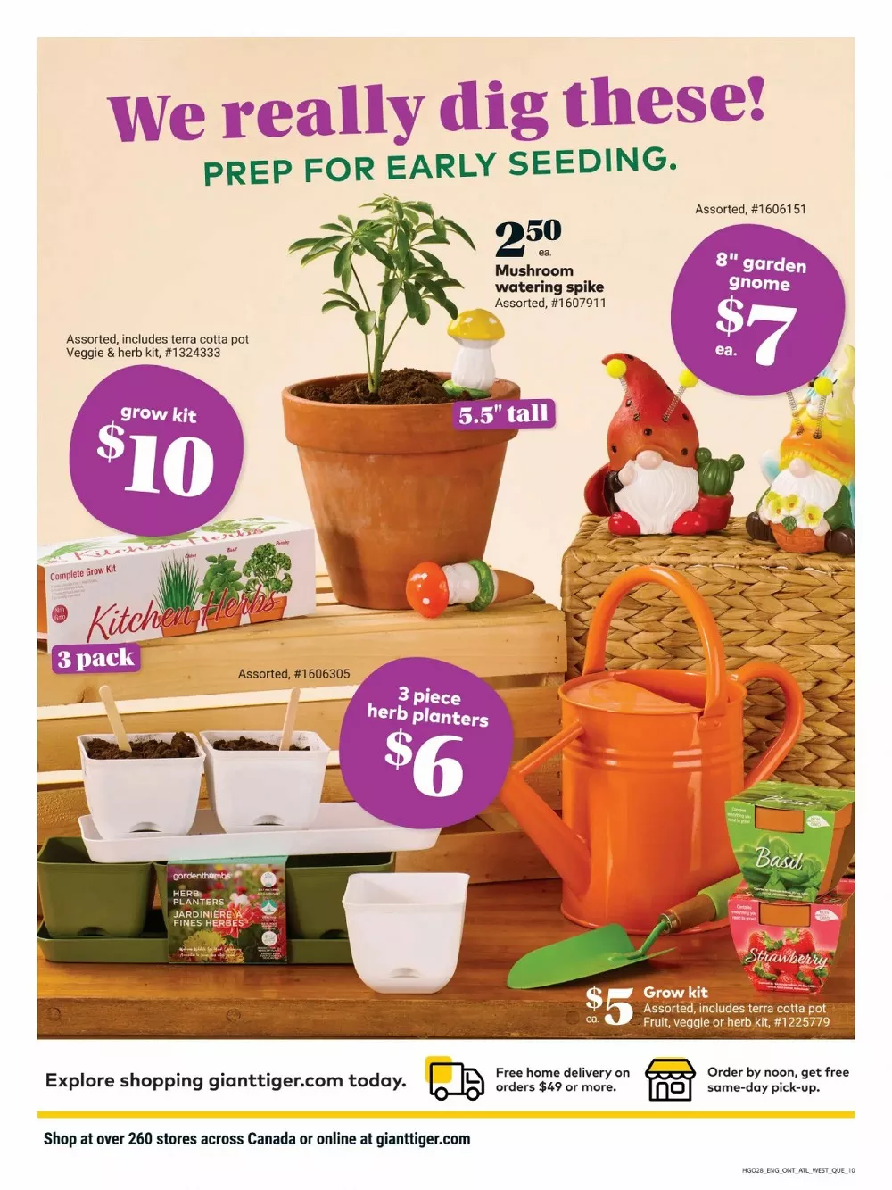 giant tiger flyer west february 11 17 12 86520584