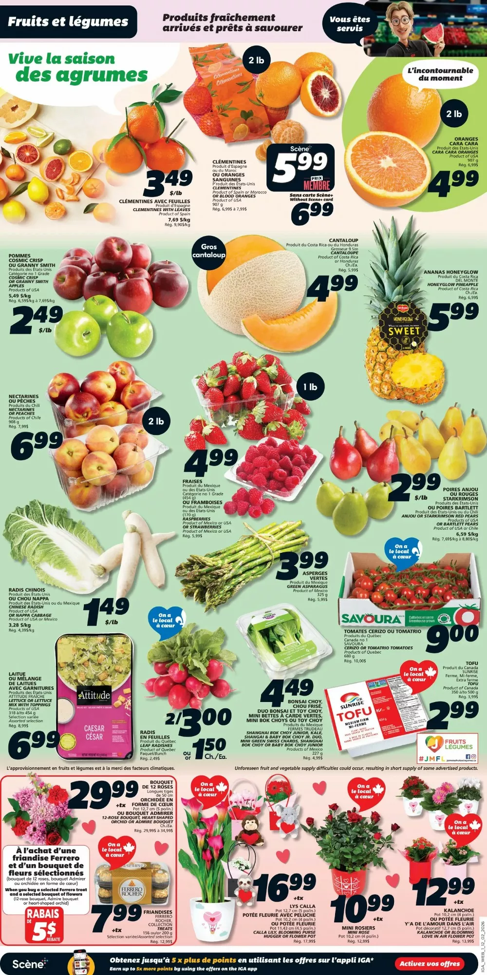 iga flyer feb 12 18 3