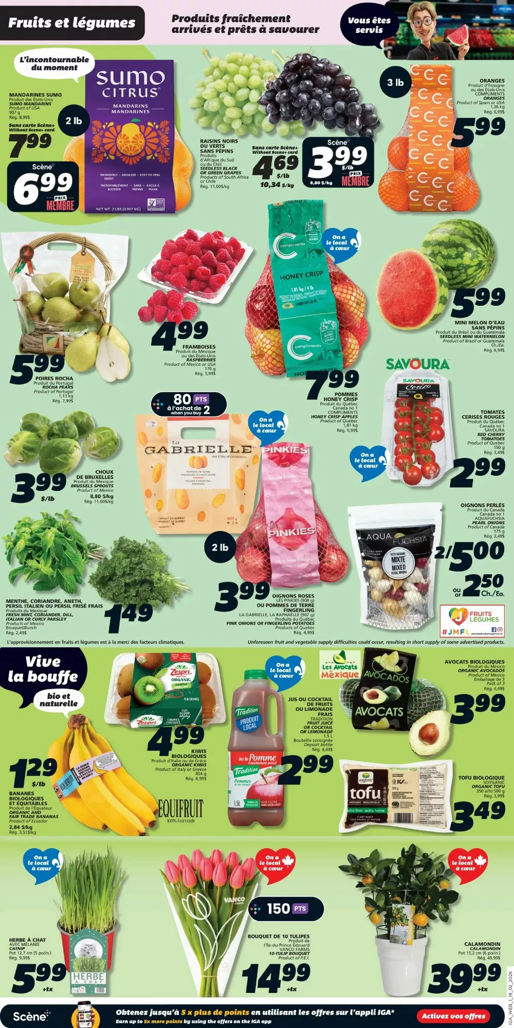 iga flyer february 19 25 3 93832546