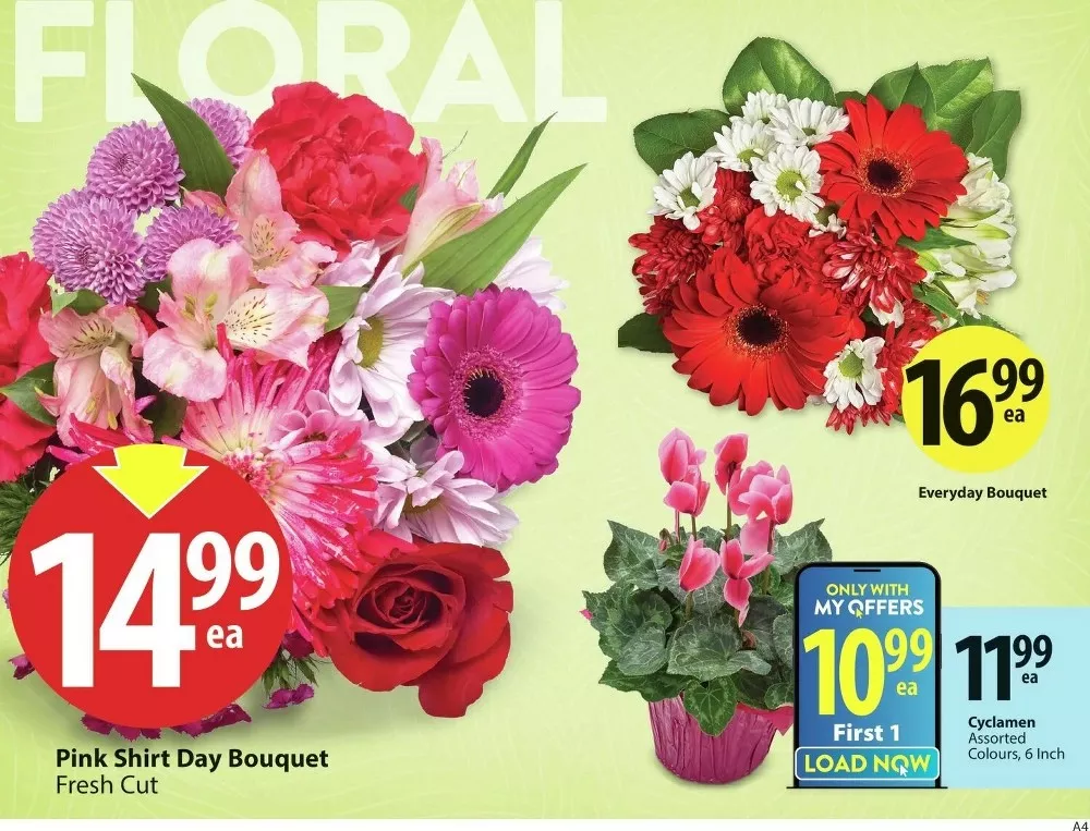 save on foods flyer february 19 25 4