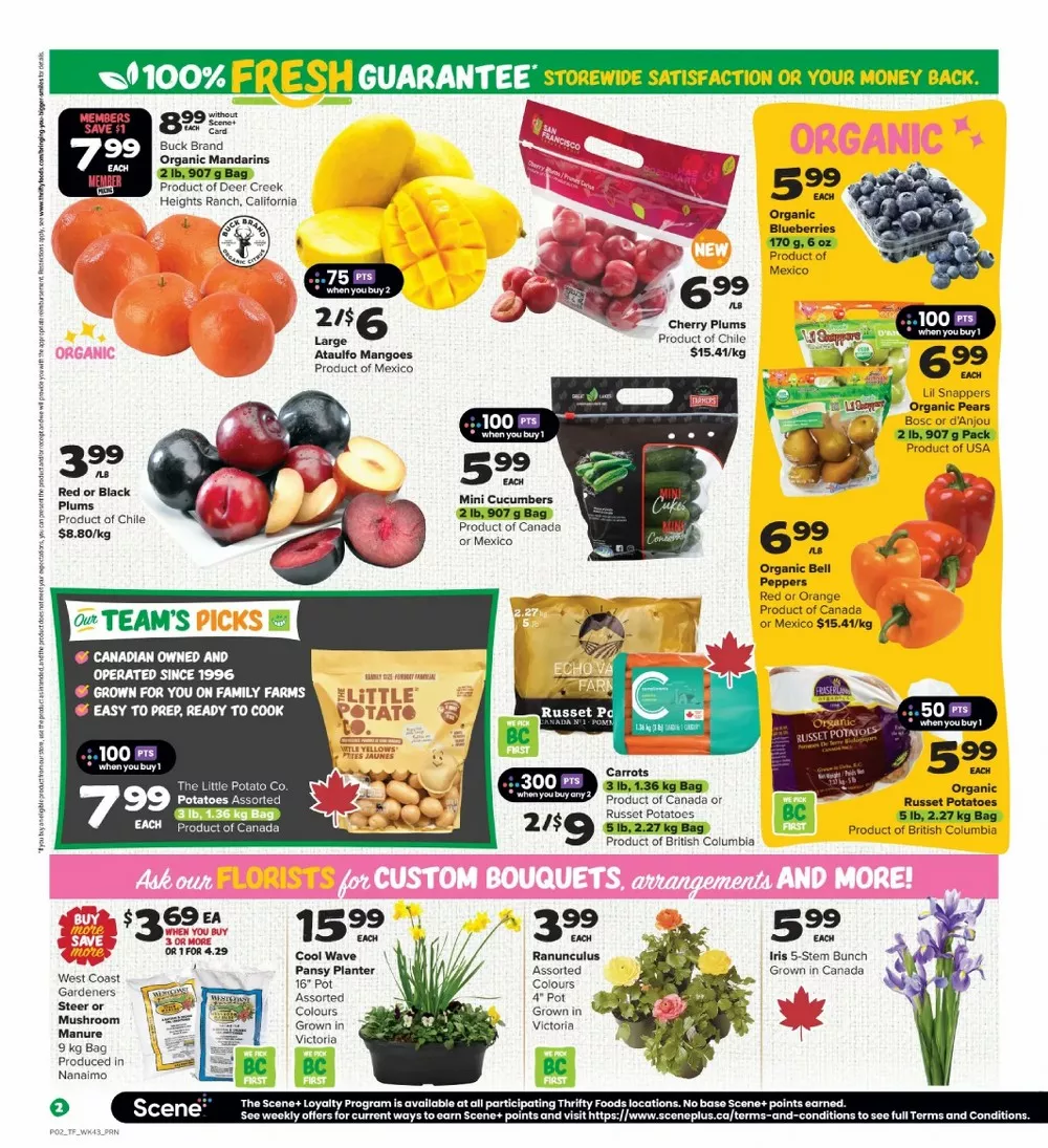 thrifty foods flyer february 19 25 3 90033568