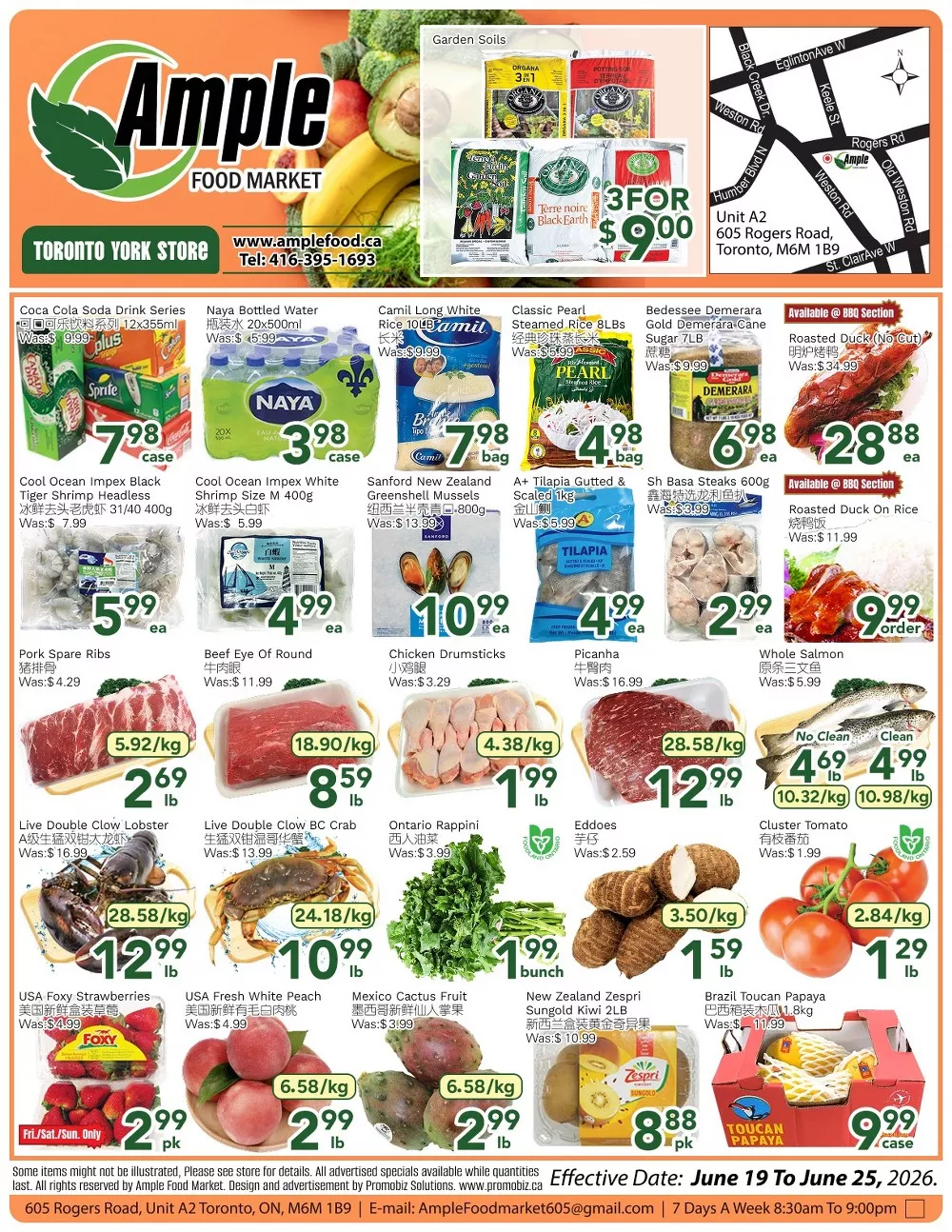 ample food market flyer week-25
