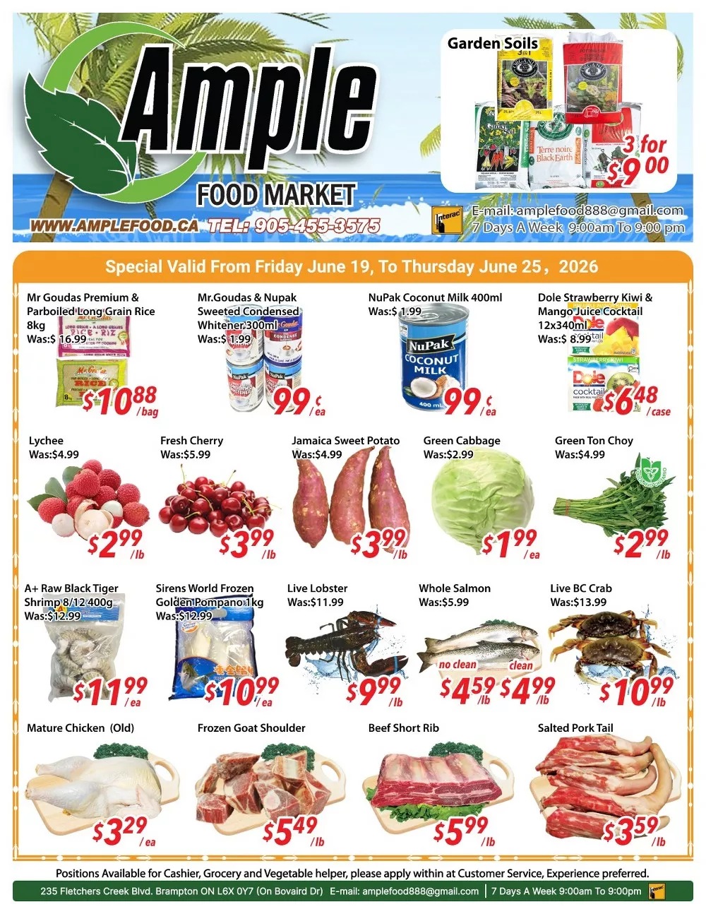 ample food market flyer june 19 25 5