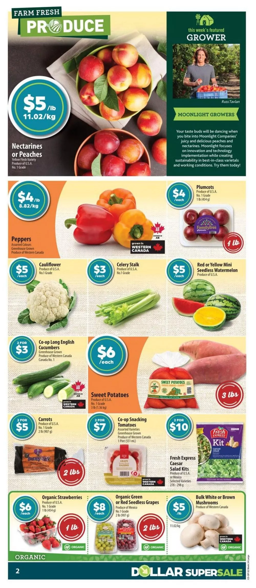 co op flyer june 11 17 4