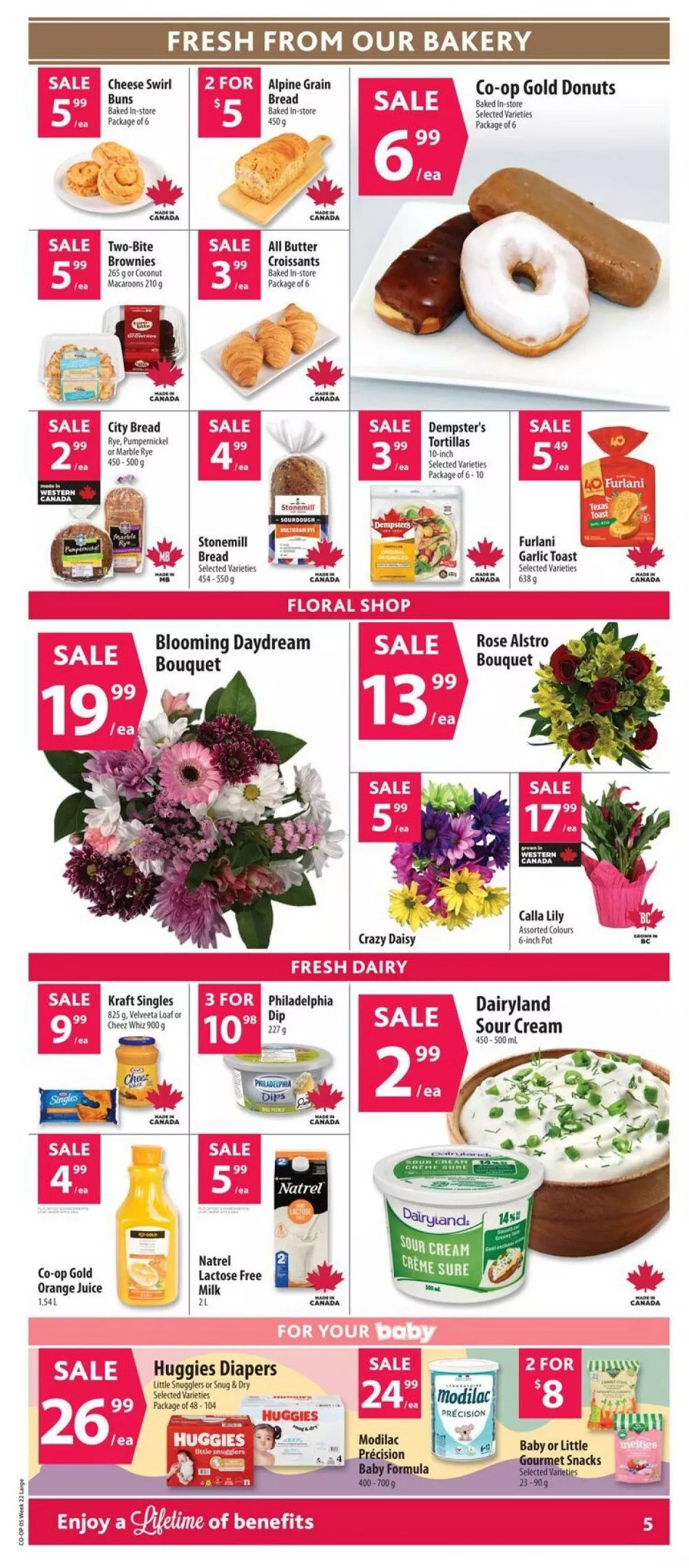 co op flyer may 28 june 3 13