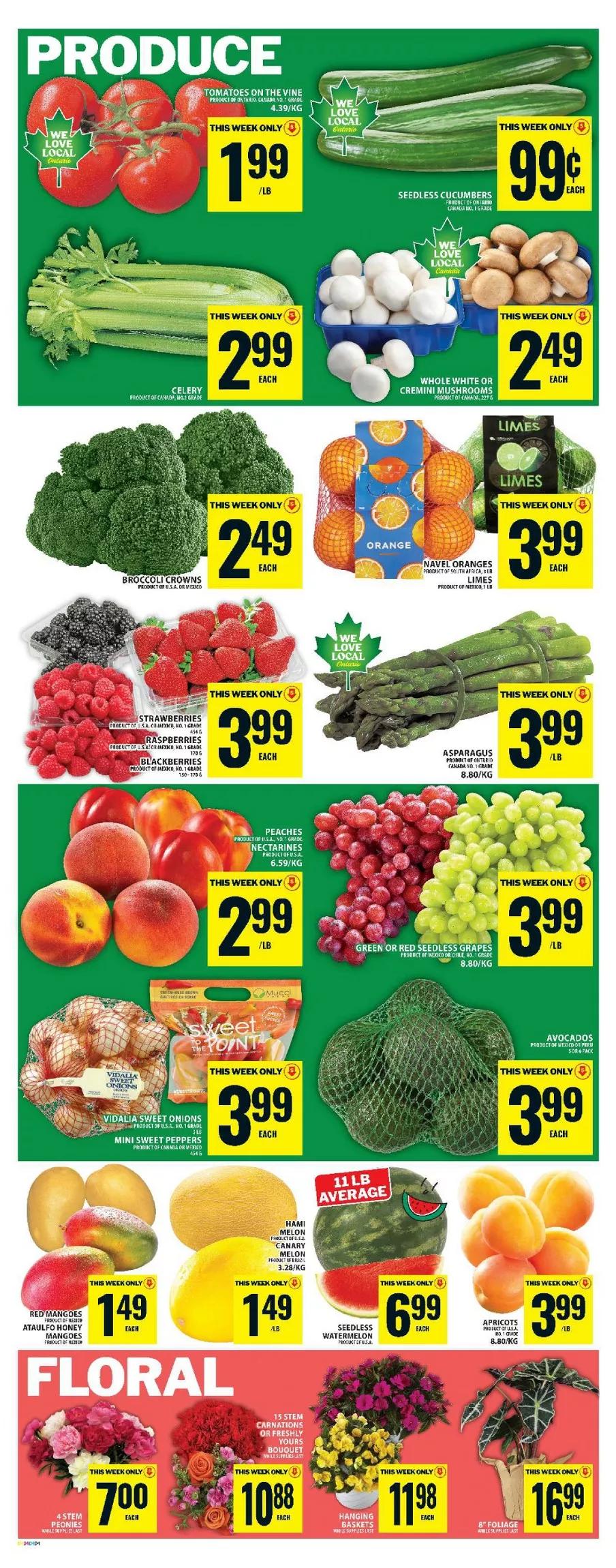 food basics flyer june 4 10 7