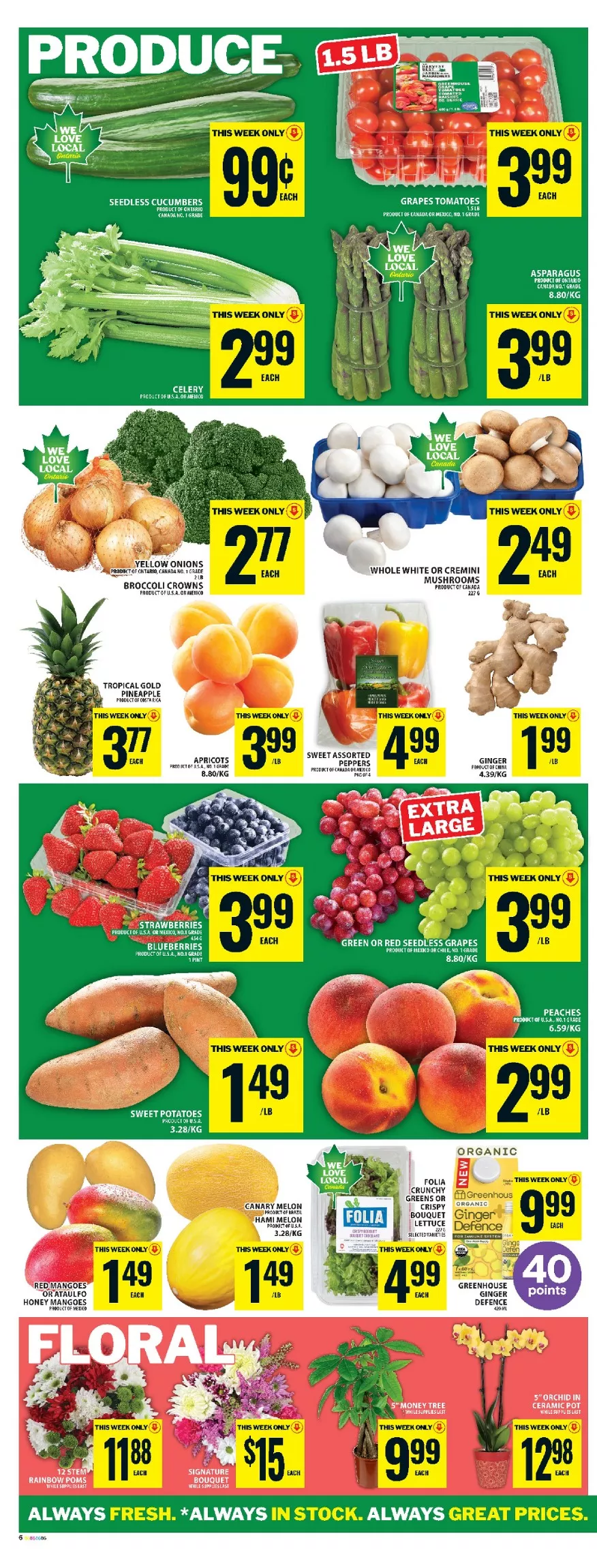 food basics flyer may 28 june 3 9