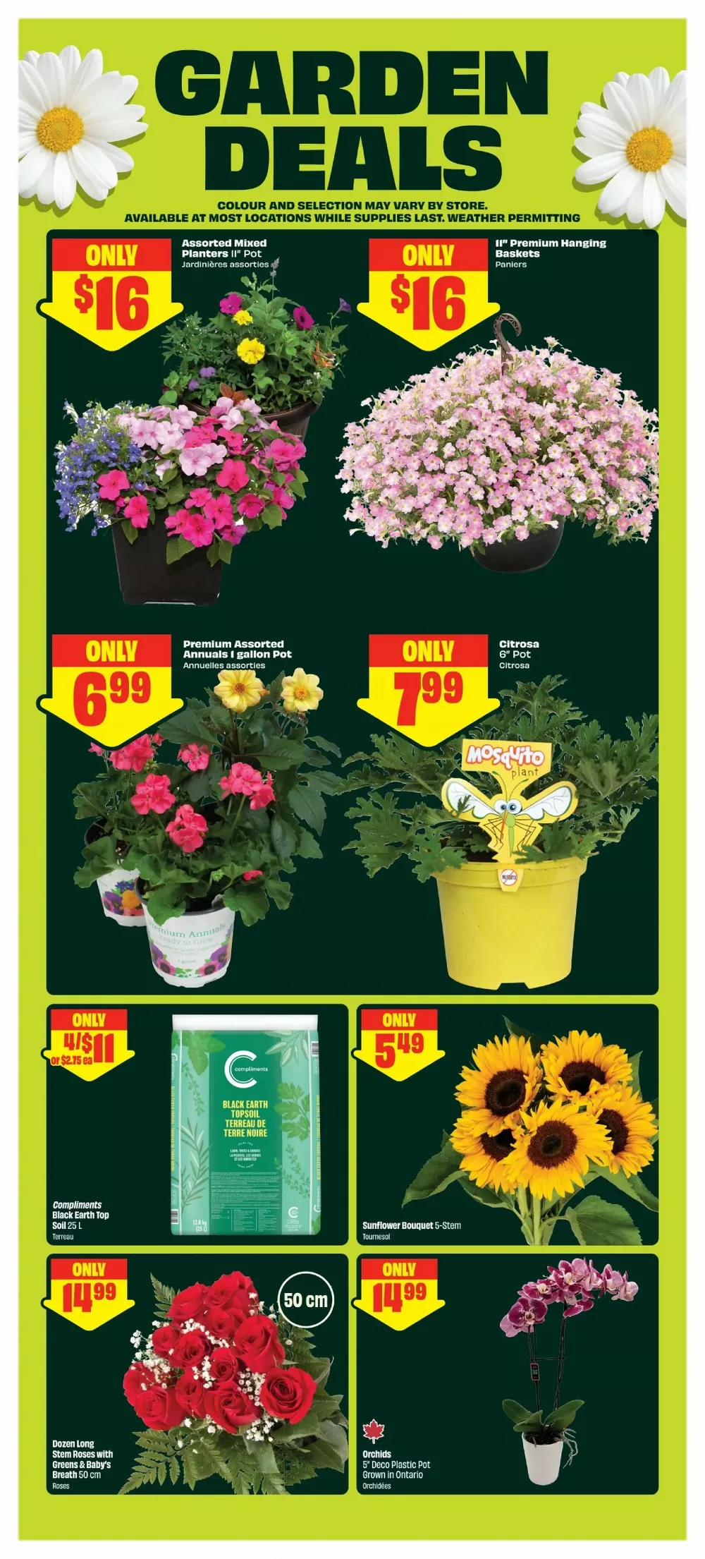 freshco flyer may 28 june 3 5 67826067