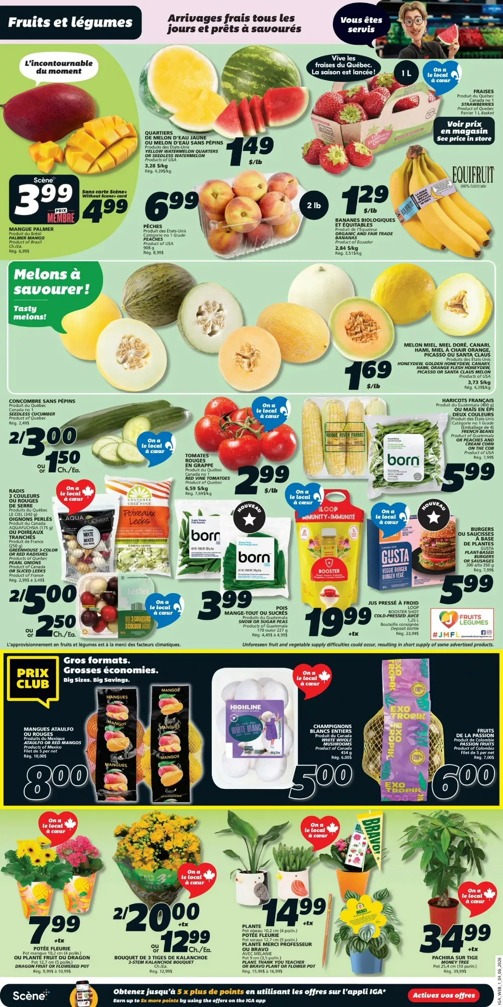 iga flyer june 4 10 3 32778534