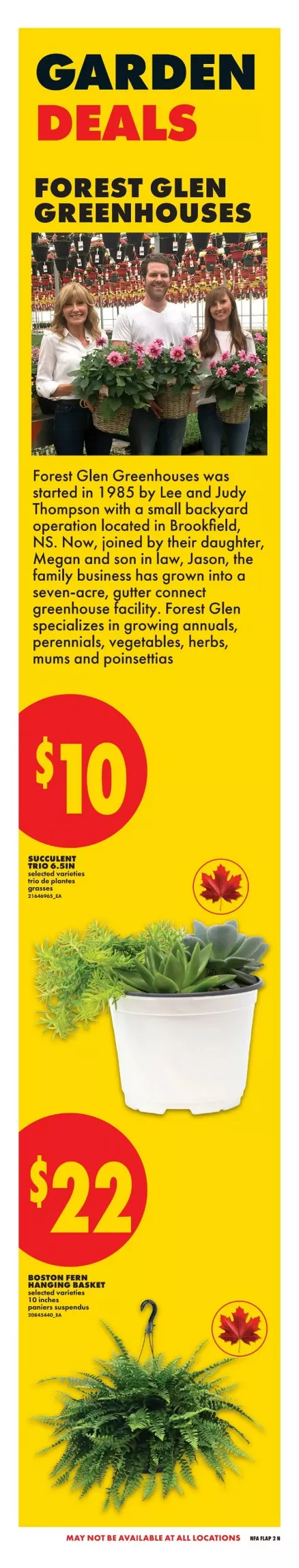 no frills flyer atlantic may 28 june 3 3 78387678