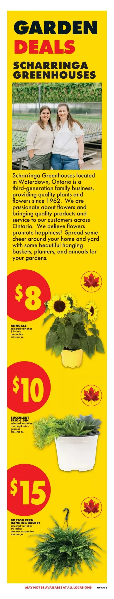 no frills flyer ont may 28 june 3 3 91681674