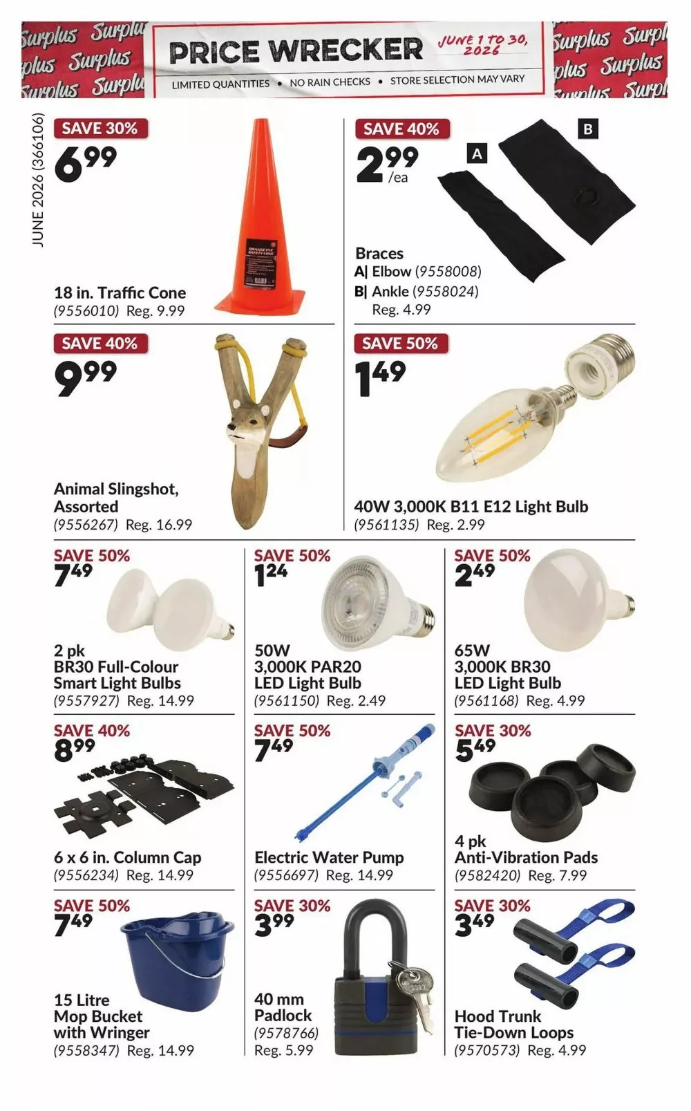 princess auto flyer june 2026 14