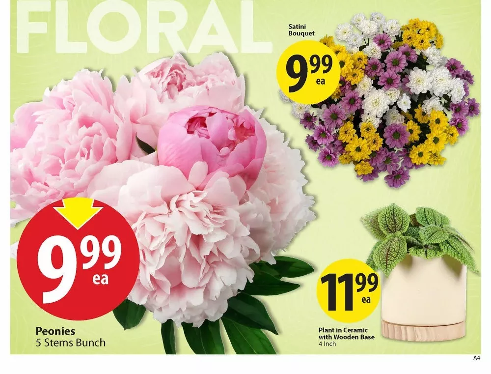 save on foods flyer june 4 10 3