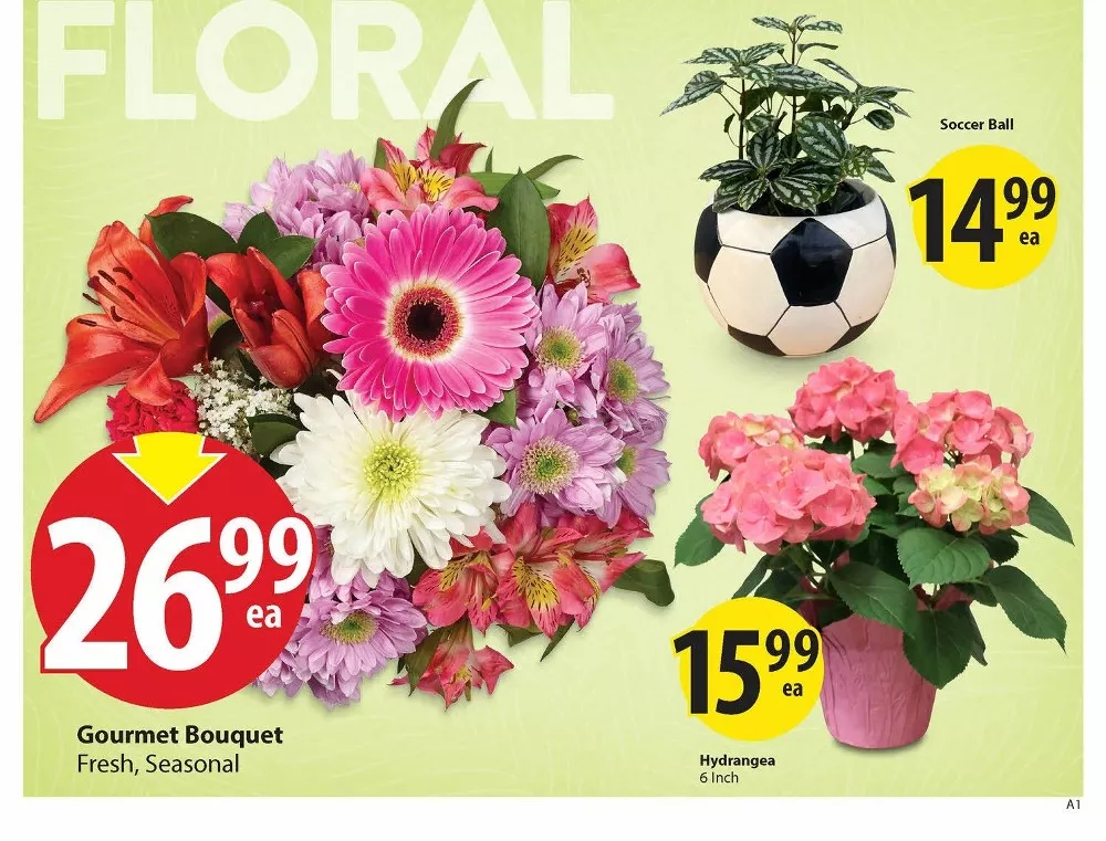 save on foods flyer may 28 june 3 3