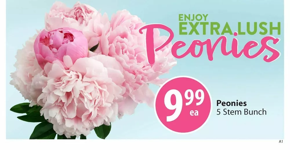 save on foods flyer may 28 june 3 4