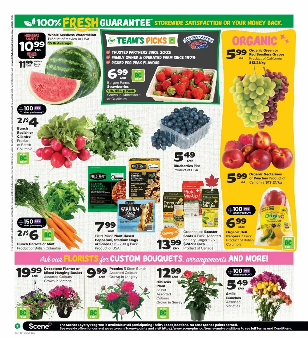 thrifty food flyer june 4 10 3 35768360