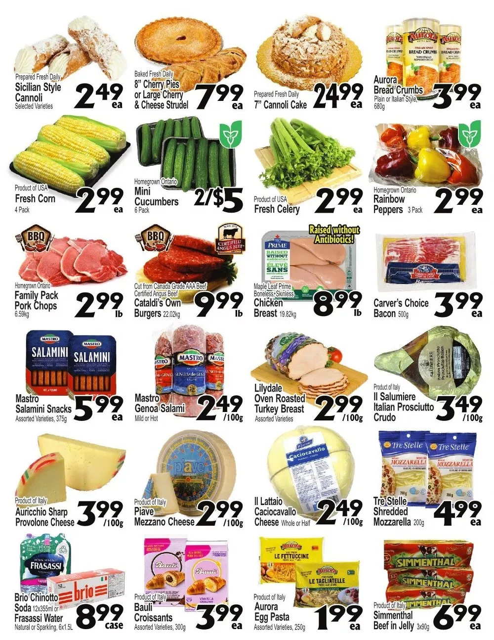 cataldi flyer june 10 16 2