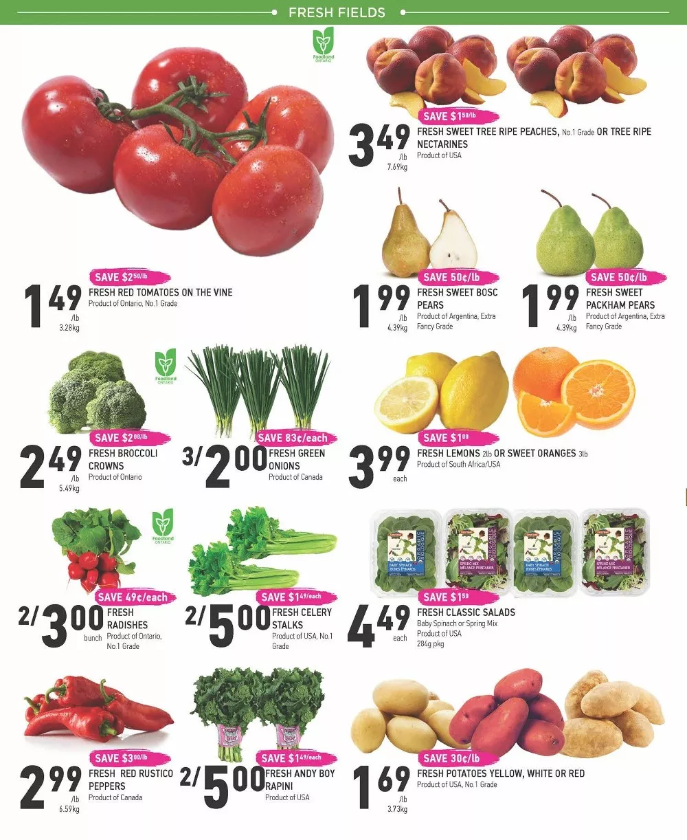 coppas flyer july 9 15 3