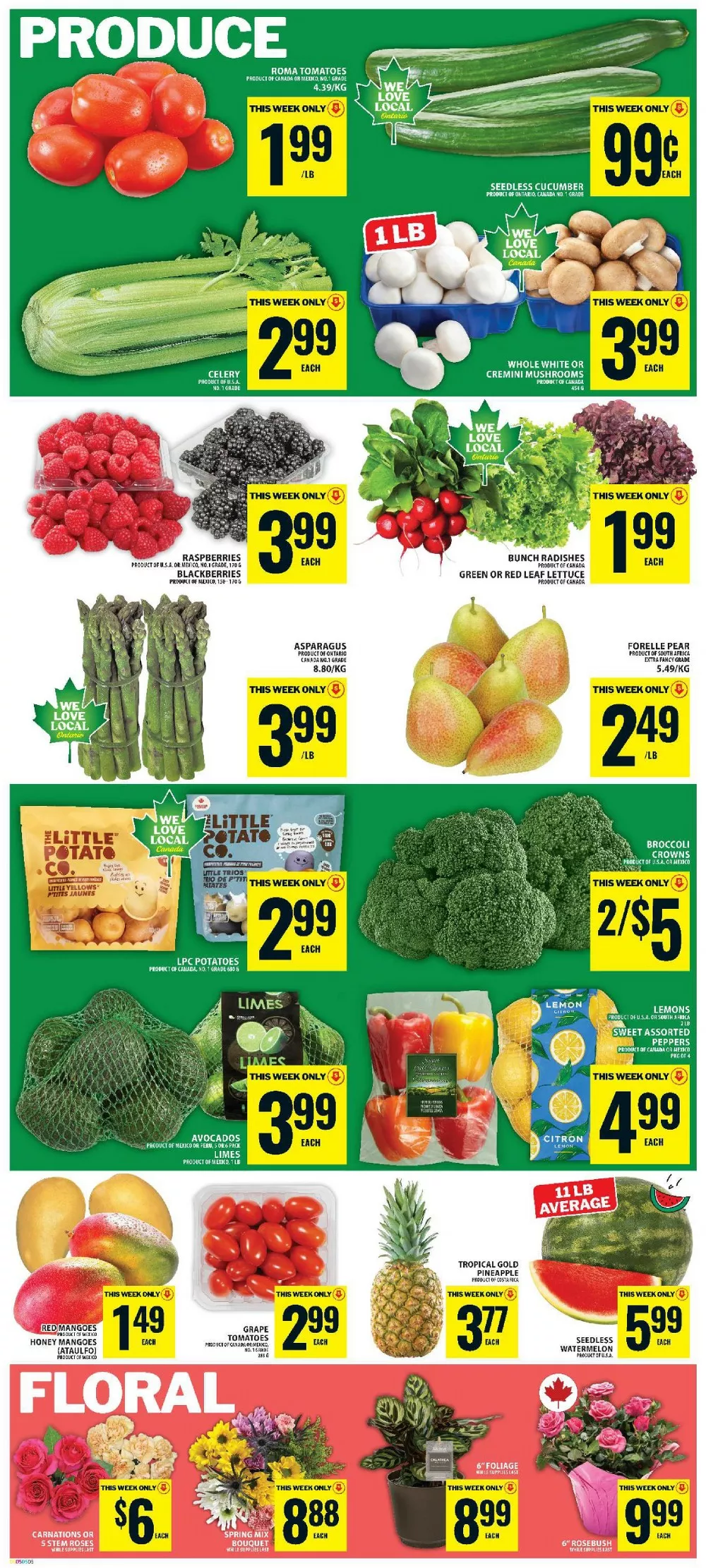 food basics flyer june 18 24 6 93232868