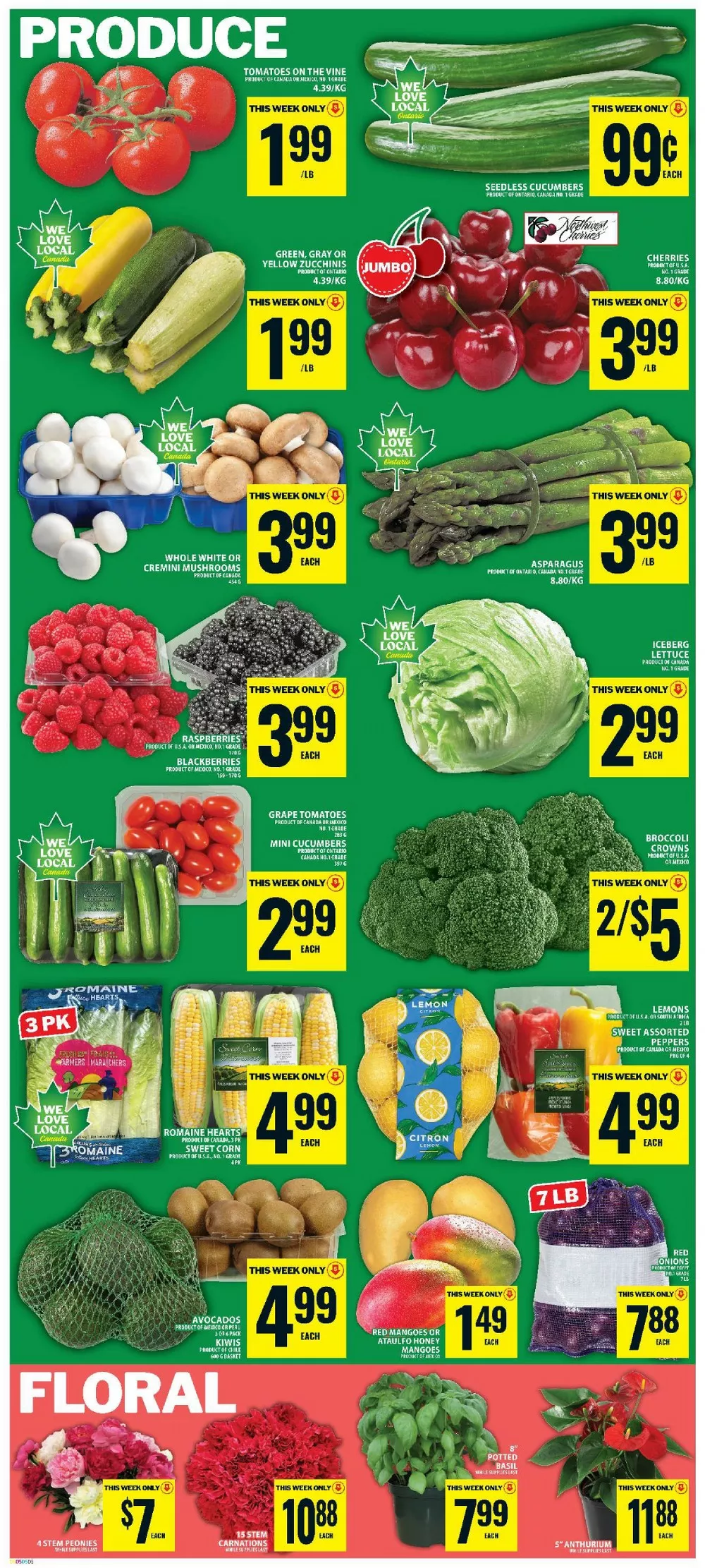 food basics flyer june 25 july 1 6