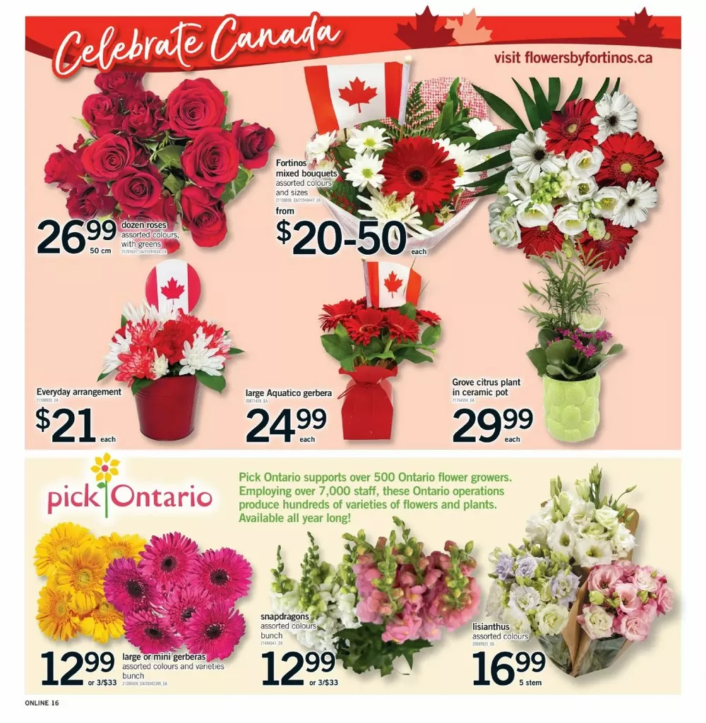 fortinos flyer june 25 july 1 16 45612207