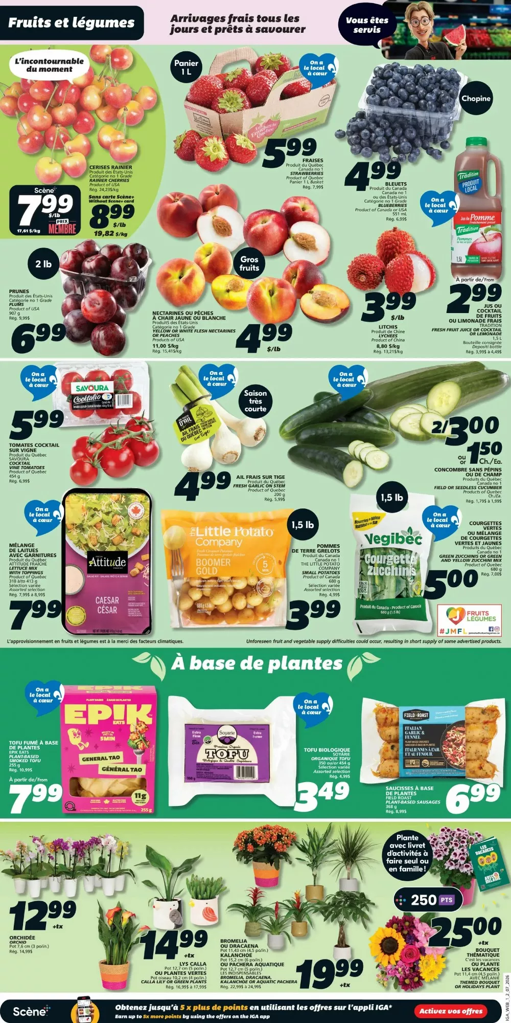 iga flyer july 2 8 3 14316998