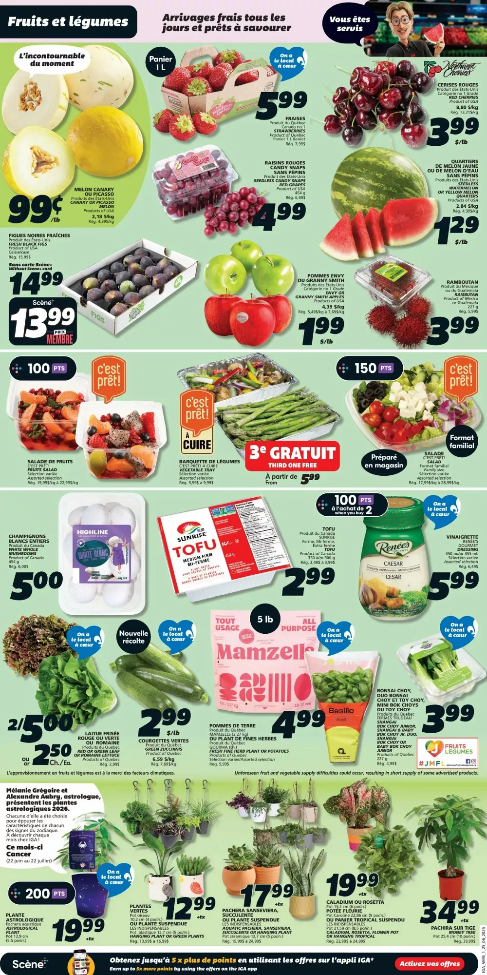 iga flyer june 25 july 1 3 65156037