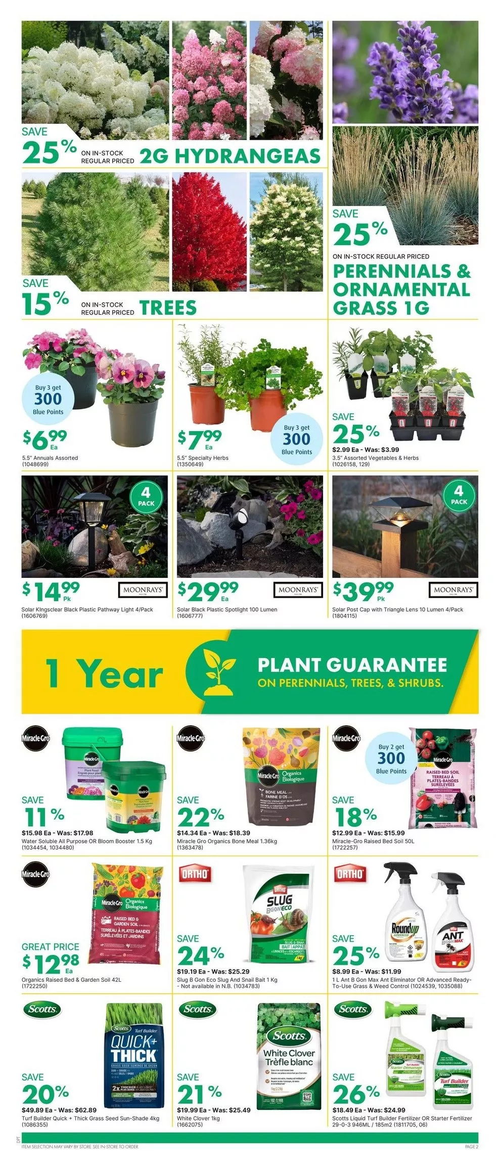Kent Flyer New 25 June - 1 July, 2026 2 kent flyer june 18 24 2