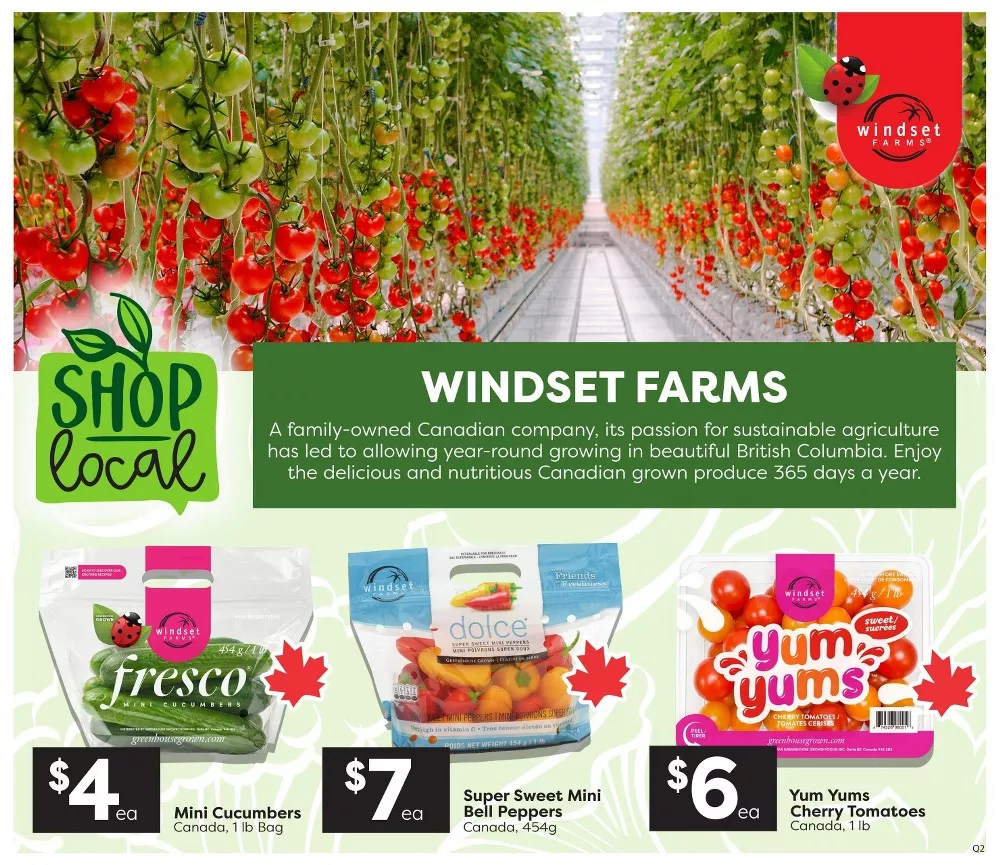 quality foods flyer june 11 17 3