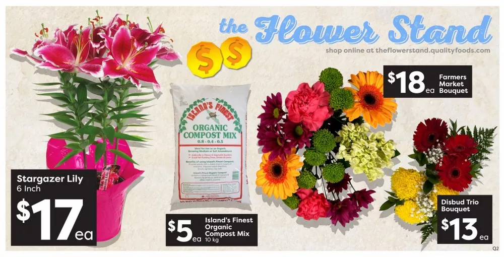 quality foods flyer june 11 17 4