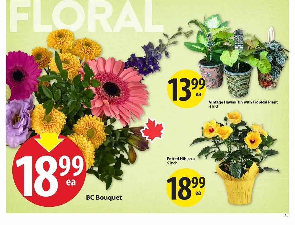 save on foods flyer july 2 8 4