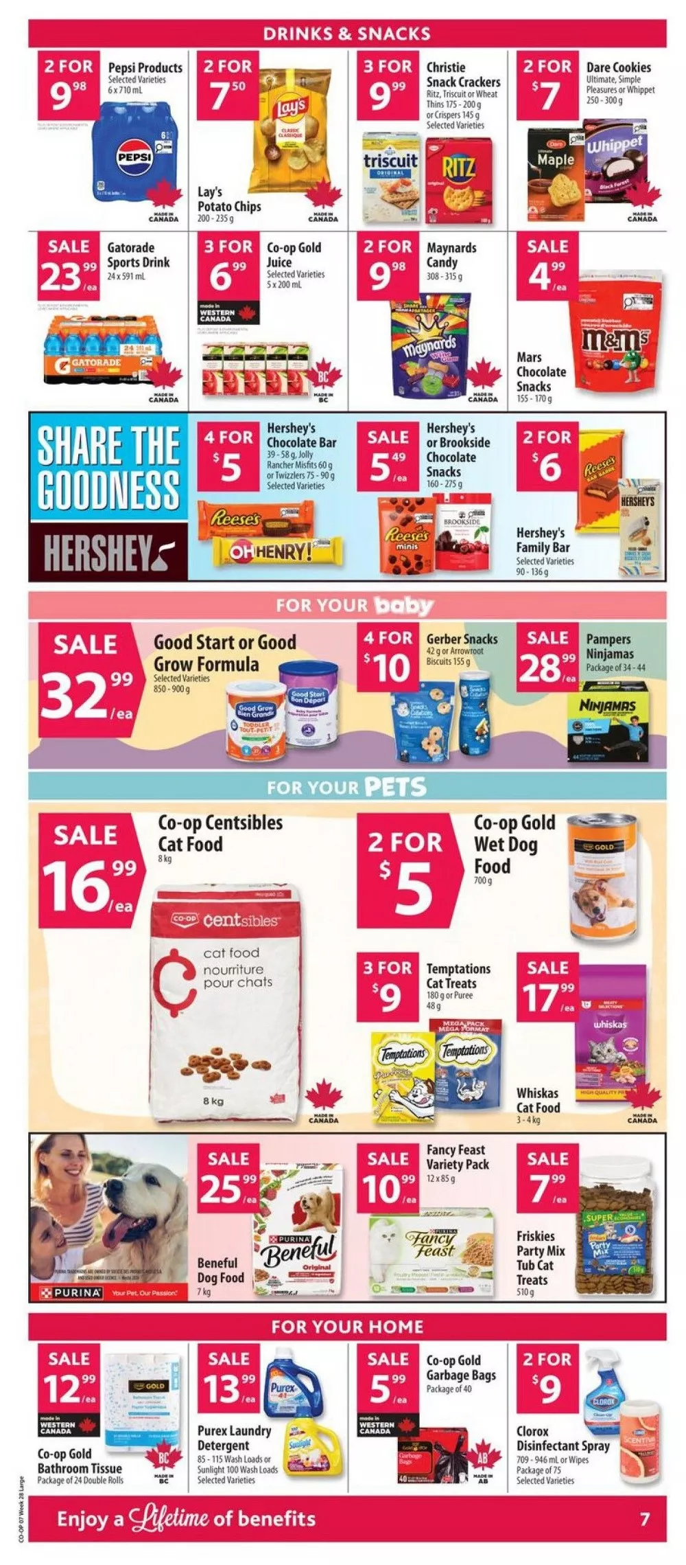co op flyer july 9 15 13