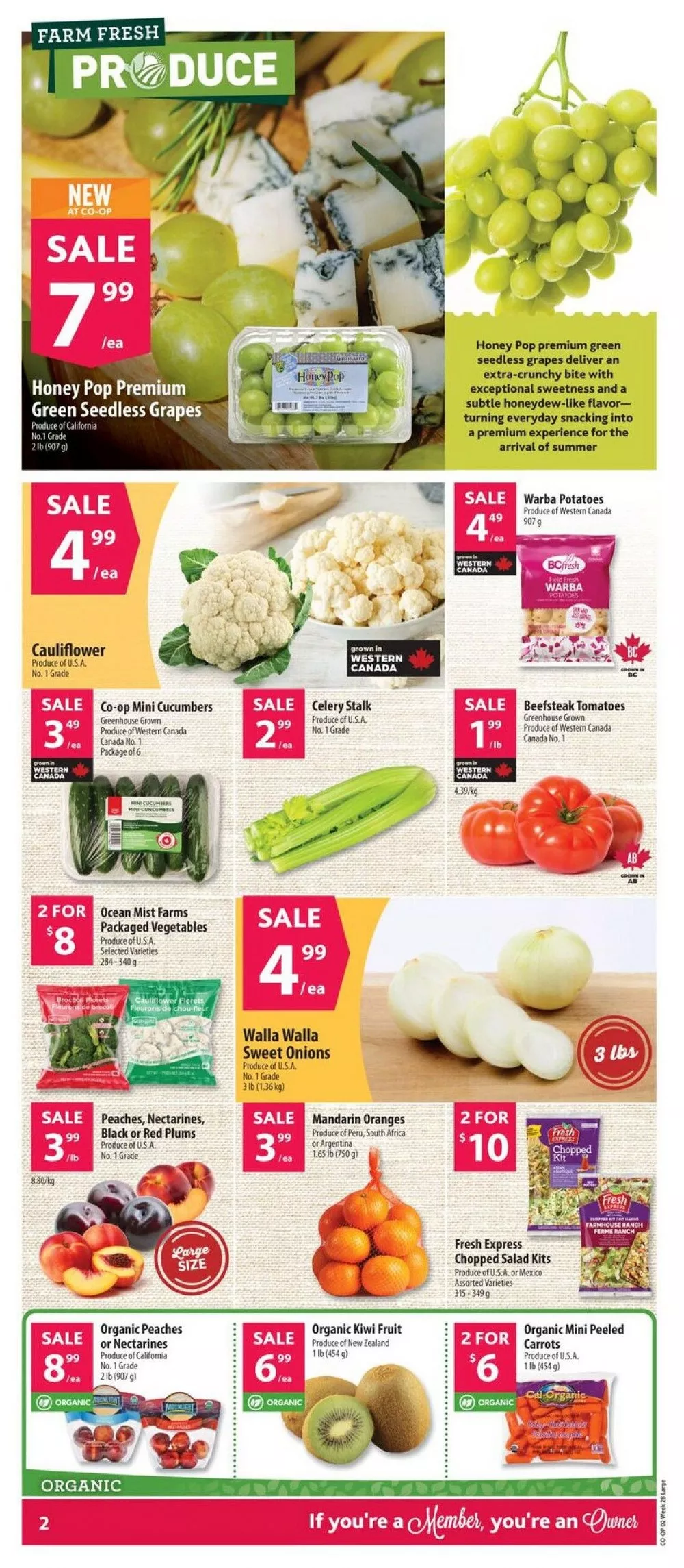 co op flyer july 9 15 4