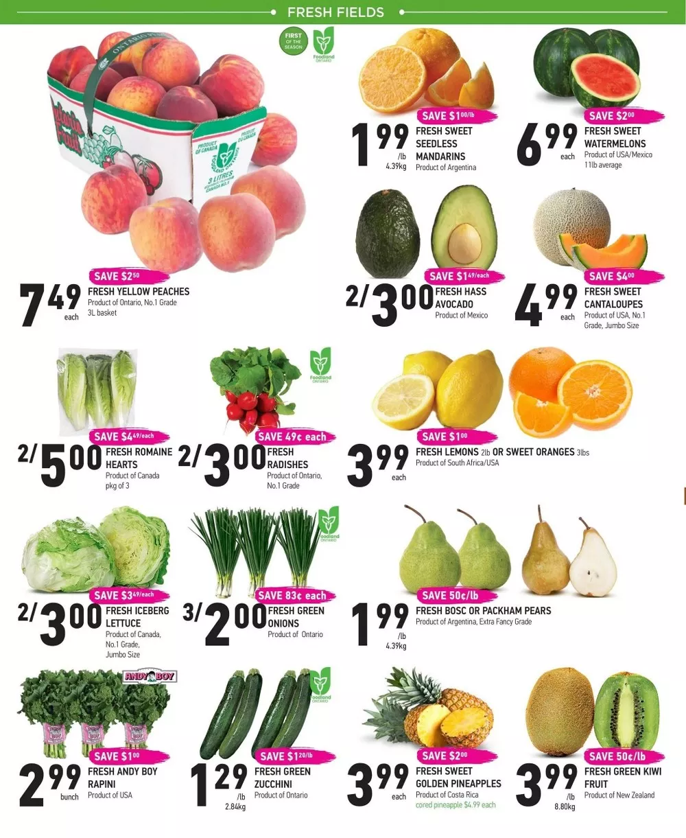coppas flyer july 23 29 2